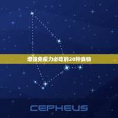 增强免疫力必吃的20种食物，哪些食物可以增强免疫力？