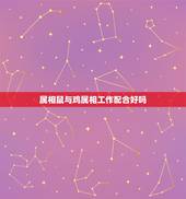 属相鼠与鸡属相工作配合好吗，属鸡的和属鼠的配吗？