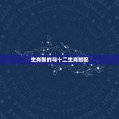 生肖猴的与十二生肖婚配，猴跟什么生肖配对最好