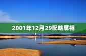 2001年12月29配啥属相，阴历2001年12月29出生属什么生肖