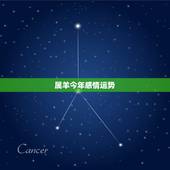 属羊今年感情运势，属羊人今天运势如何？