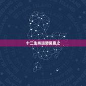 十二生肖运势吴宽之，十二生肖2021年运势及运程每月运程