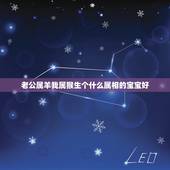 老公属羊我属猴生个什么属相的宝宝好，丈夫属羊妻子属猴适合生个什么属相的