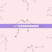 十二生肖鼠最佳婚配属相，属狗与什么属相相克
