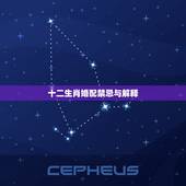 十二生肖婚配禁忌与解释，十二生肖与人生运势