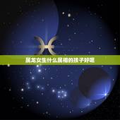 属龙女生什么属相的孩子好呢，属兔和属龙夫妻生什么属相孩子好