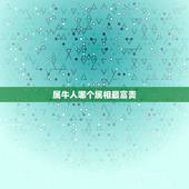 属牛人哪个属相最富贵，属牛男的和什么属相最配