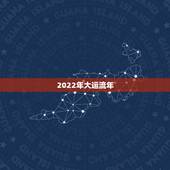 2022年大运流年，2022 年各日柱运势