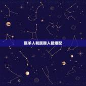属羊人和属猴人能婚配，67年属羊人与68年属猴人婚配吗？