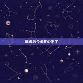 属虎的今年多少岁了 12生肖年龄对照表