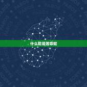 什么蛇是苦命蛇 属蛇人最苦命出生月份