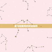 属马和属鸡的财运如何，如何增加偏财运