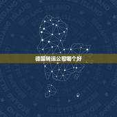 德国转运公司哪个好，德国主要转运公司有哪些，德淘转运公司哪家最好