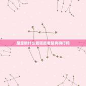 屋里喷什么能驱赶老鼠狗狗行吗，怎么训练狗狗抓老鼠