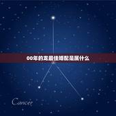 00年的龙最佳婚配是属什么，2000年属龙男生婚配