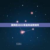 属狗在2022年全年运势如何，2022 年全年运势详解