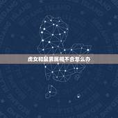 虎女和鼠男属相不合怎么办，属鼠的和属虎的合不合？