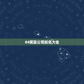 84属鼠公司起名大全，属鼠的人开公司取什么名字好？