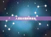 人生起伏图免费查询，免费算终身大运起伏图