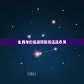 生肖年份是按照阳历还是农历，12生肖按阴历还是阳历