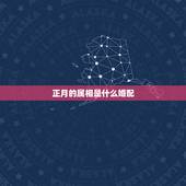 正月的属相是什么婚配，1993年正月初三生日最佳婚配属相