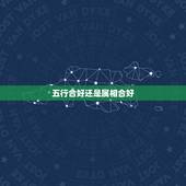 五行合好还是属相合好，五行相生，生肖相克！