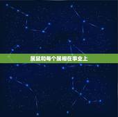 属鼠和每个属相在事业上，属鼠的跟什么属相的合财