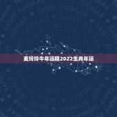 麦玲玲牛年运程2022生肖年运，2022 属鼠人全年运势