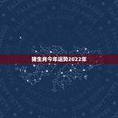 猪生肖今年运势2022年，属猪人2021年运势运程每月运程