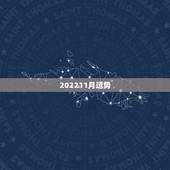202211月运势，保本型基金到底是哪几支？