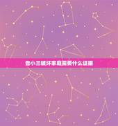告小三破坏家庭需要什么证据，如果有小三破坏家庭，去法院能起诉小三吗
