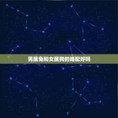 男属兔和女属狗的婚配好吗，1982年出生属狗男与1987年出生属兔女相