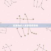 蛇属相的人家里装修忌啥，属蛇人家里能摆放蛇的装饰品吗