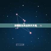 浮图塔生肖运势天天看，十二生肖每天的运气