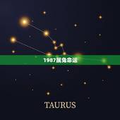 1987属兔命运，87年属兔36岁以后的一生命运