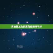 男的属龙女的属兔结婚好不好，87年女兔88年男龙婚配