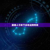 属猪人今年下半年运势咋样，2022 年下半年生肖运势