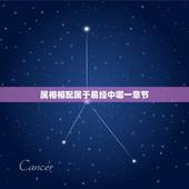 属相相配属于易经中哪一章节，易经中的属相是指生年，还是指生日那天？