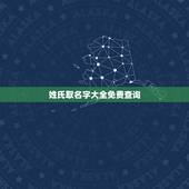 姓氏取名字大全免费查询，爸爸的姓和妈妈的性怎样取名免费取名字网大全？
