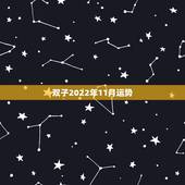 双子2022年11月运势，2010年11月9日双子座的运势 主要是看学