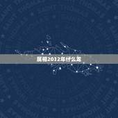 属相2012年什么龙，2012年是什么生肖年