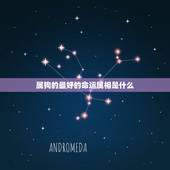 属狗的最好的命运属相是什么，属狗的和什么属相最配