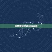 急危重症患者转运流程，急危重症病人抢救流程图