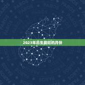 2023年出生最旺的月份，2023年属兔宝宝几月出生好