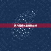 属马属什么最相配结婚，属鼠的人和什么属相最配