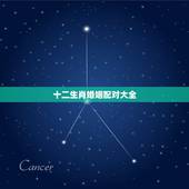十二生肖婚姻配对大全，十二生肖属相婚姻匹配