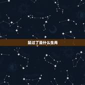 鼠过了是什么生肖，牛过了是什么生肖