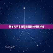 属羊和八字测婚姻属鼠的婚配好吗，属鼠和属羊能配婚姻吗
