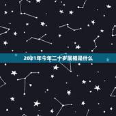 2021年今年二十岁属相是什么，2021年20岁属什么生肖