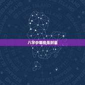 八字中哪些是财星，八字中有多少个财星才算多